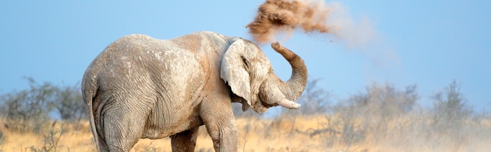 Die Rechnerwolke in der Praxis - Geschäftsprozesse in der Cloud