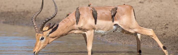 IT-Carve-out und Outsourcing: Chancen für den Mittelstand