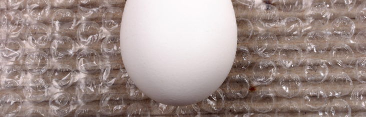 Ei auf Luftpolsterfolie Banner
