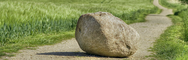 Banner Stein auf Feldweg