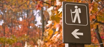 Unternehmenskauf im Ausland