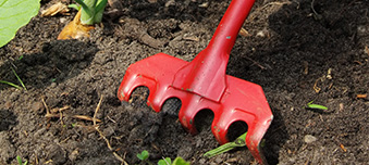 Markteintritt in China