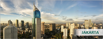 Indonesien, MIST, Mexiko, Südkorea, Türkei