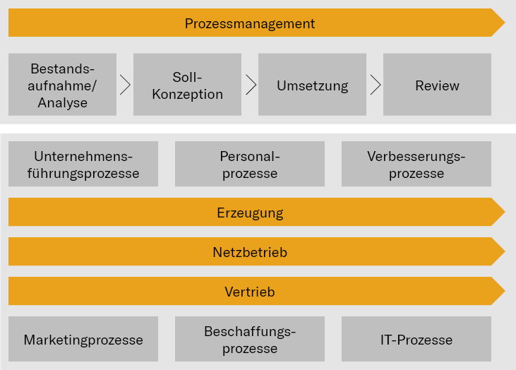 schematische darstellung prozesslandschaft und prozessmanagement